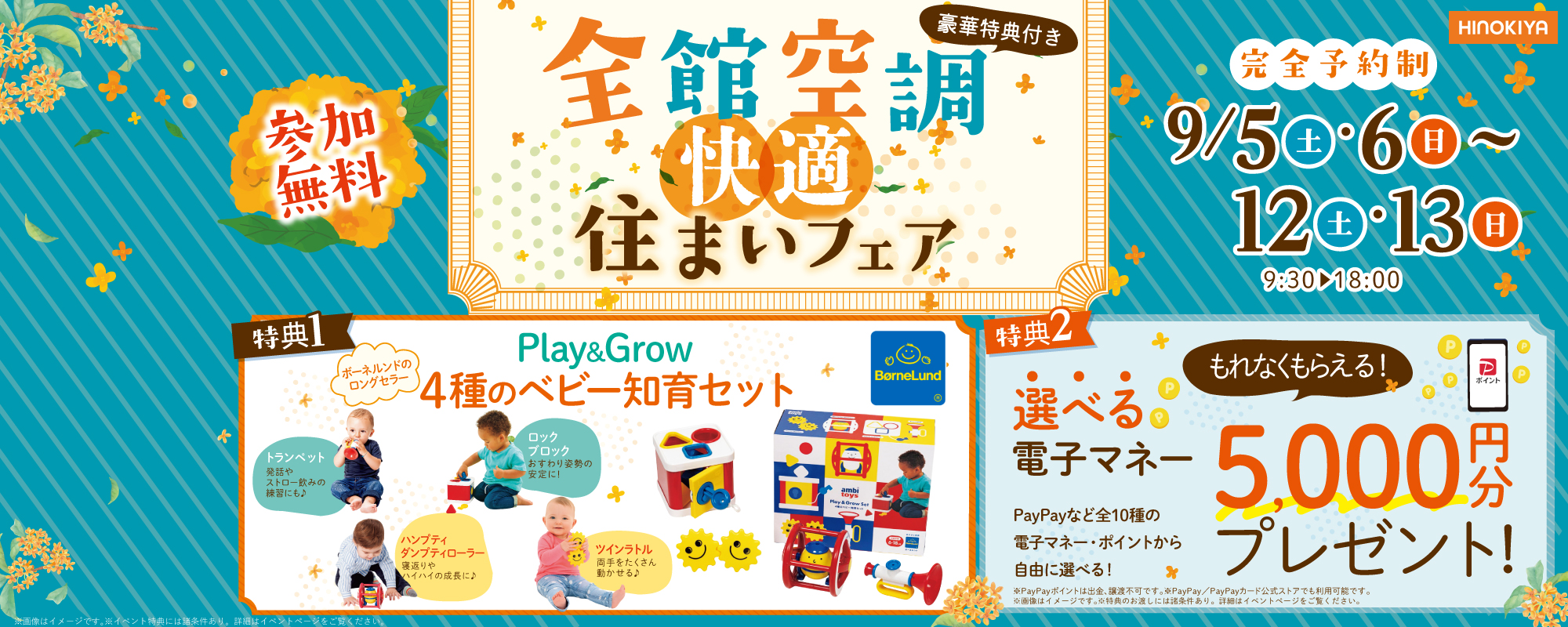 9/5~ 桧家みのお